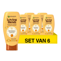 6 flessen van 250 ml