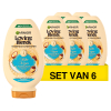 Aanbieding: Garnier Conditioner Loving Blends - Rijke Argan (6 flessen - 250 ml) SGA02017 - 1