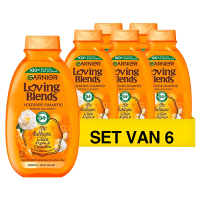 Garnier Aanbieding: Garnier Shampoo Loving Blends - Argan & Cameliaolie (6 flessen - 300ml)  SGA02023