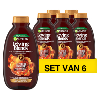 Garnier Aanbieding: Garnier Shampoo Loving Blends - Gember Boost (6 flessen - 300 ml)  SGA02029