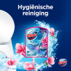 Glorix Toiletblok Magnolia Actief Blauw Water (53 g)  SGL00083 - 3