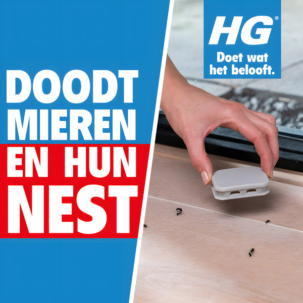 HGX Mierenlokdoos SHG00326 - 2