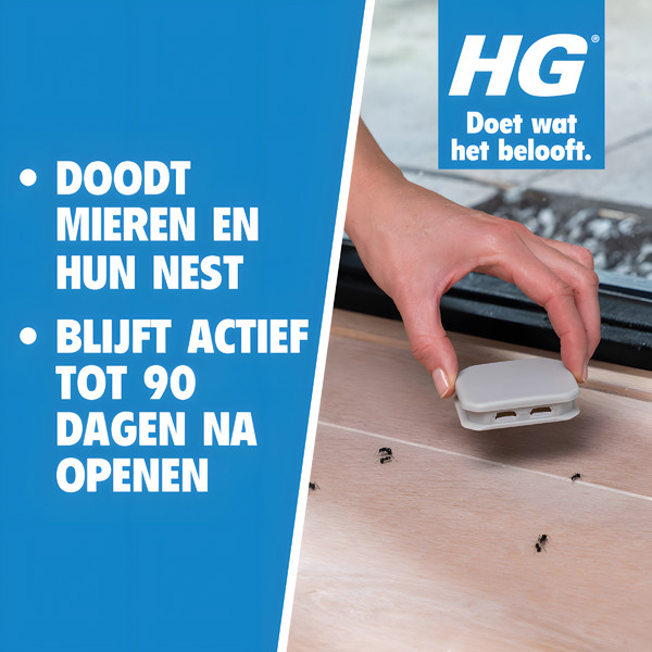 HGX Mierenlokdoos SHG00326 - 3
