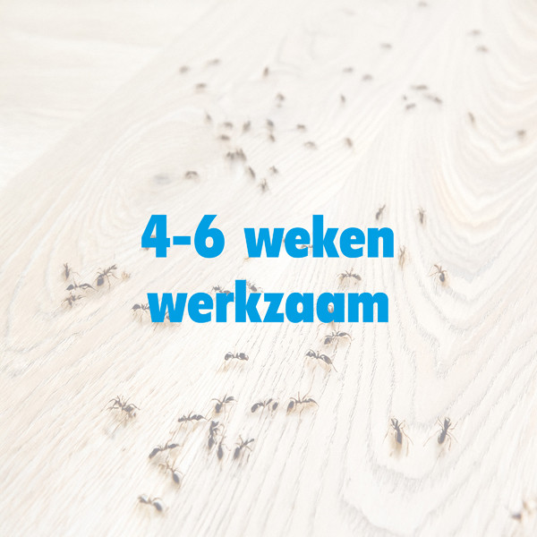 HGX Spray Tegen Mieren (400 ml) SHG00142 - 2