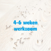 HGX Spray Tegen Mieren (400 ml) SHG00142 - 2