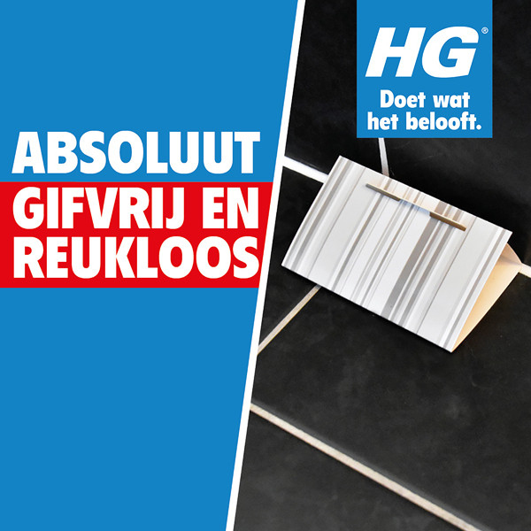 HGX Zilvervisjesval (2 stuks) SHG00327 - 3