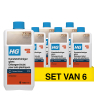 Aanbieding: HG Kunststofreiniger Glans (6 stuk à 1 liter) SHG00647 - 1
