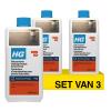 Aanbieding: HG Natuursteen Impregnerende Beschermer (3 stuks à 1 liter) SHG00702 - 1