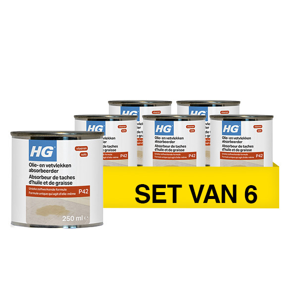 Aanbieding: HG Tegel en Natuursteen Olie- en Vetvlekken Absorbeerder (6 stuks à 250 ml) SHG00701 - 1