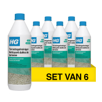 Aanbieding: HG Terrastegelreiniger (6 stuks à 1 liter) SHG00821