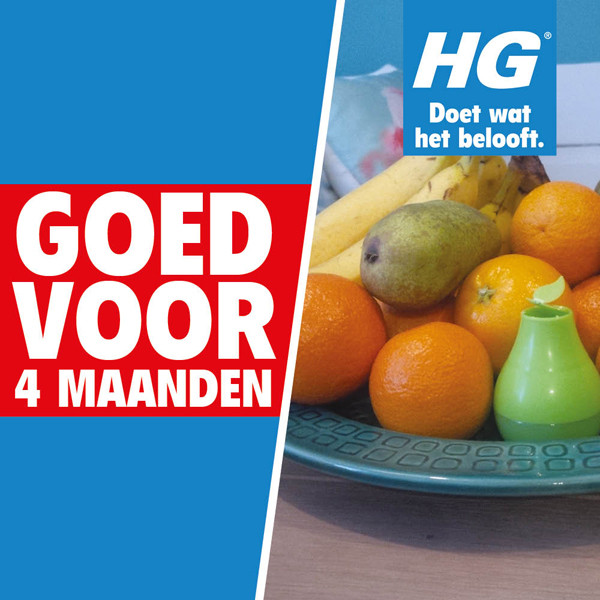 HG Fruitvliegjes Navulling (2 stuks) SHG00282 - 3