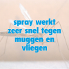 HG X spray tegen muggen en vliegen (400 ml) SHG00146 - 2