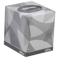 Aanbieding: Kleenex Kubus 2 - laags zakdoekjes 8834 - Wit (12 verpakkingen - 88 vellen) SKL00042