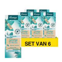 Aanbieding: Kneipp Goodbye Stress Massageolie (6 stuks - 100 ml) SKN00223