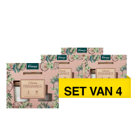Kneipp Aanbieding: Kneipp Home Fragrance Collection Geschenkset (4 stuks)  SKN00193