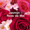 Aanbieding: Lenor Wasverzachter Jasmijn & Rose de Mai 1722 ml (3 flessen - 246 wasbeurten) SLE00701 - 5