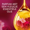 Lenor Wasverzachter Jasmijn & Rose de Mai 882 ml (42 wasbeurten) SLE00562 - 4