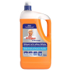 Mr. Proper Professional Special Care Allesreiniger (5 L)