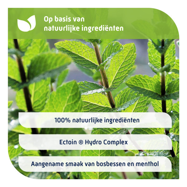 Natterman Hoest & Keel Pastilles (20 stuks) SNA00006 - 4