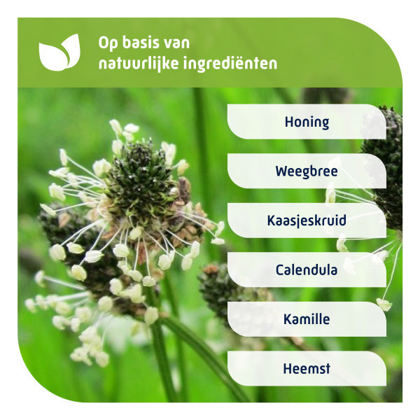 Natterman Nacht Voor Alle Hoest Volwassenen Hoestdrank (150 ml) SNA00007 - 4