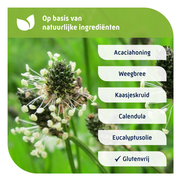 Natterman Voor Alle Hoest Hoestdrank (180 ml) SNA00008 - 4