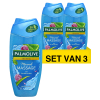 Aanbieding: 3x Palmolive douchegel Aroma Sensations Feel The Massage (250 ml)