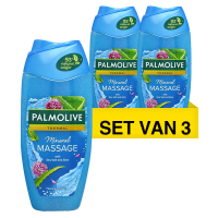 Palmolive Aanbieding: 3x Palmolive douchegel Aroma Sensations Feel The Massage (250 ml)  SPA04066