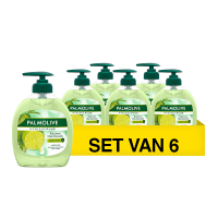 Palmolive Aanbieding: 6x Palmolive handzeep Anti Geur (300 ml)  SPA04094