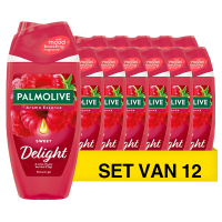 Palmolive Aanbieding: Palmolive Aroma Essence Sweet Delight Douchegel (12 stuks - 250 ml)  SPA04177