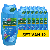 Palmolive Aanbieding: Palmolive Douchegel  Aroma Sensations Feel The Massage (12 flessen - 250 ml)  SPA04171