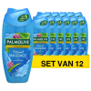 Aanbieding: Palmolive Douchegel  Aroma Sensations Feel The Massage (12 flessen - 250 ml)