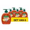 Aanbieding: Palmolive vloeibare zeep Family Hygiëne Plus (6 stuks à 300 ml) SPA00262 - 1