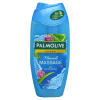 Palmolive douchegel Aroma Sensations Feel The Massage (250 ml)  SPA00067