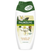 Palmolive douchegel Naturals Camellia Oil & Almond (250 ml)  SPA00148