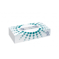 Papernet 123Schoon tissues 2-laags (100 vel)  SPA00003