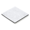 Philips HR8500-8566 stofzuiger motorfilter (123schoon huismerk)