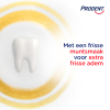 Aanbieding: Prodent Fresh Gel Tandpasta (12 stuks à 75 ml) SPR00094 - 3