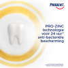 Prodent Sensitive Teeth + Gums Tandpasta (75 ml) SPR00089 - 5