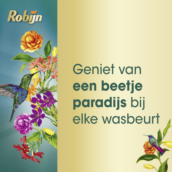 Aanbieding: Robijn Collections 3 in 1 Wascapsules Paradise Secret (4 stuks - 60 wasbeurten) SRO05361 - 6