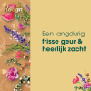 Aanbieding: Robijn Wasverzachter Bohemian Blossom 765 ml (8 stuks - 304 wasbeurten) SRO05317 - 5