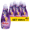 Robijn Aanbieding: Robijn wasverzachter Paarse Orchidee & Bosbessen (6 flessen - 300 wasbeurten)  SRO00206