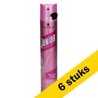 6 stuks van 300 ml