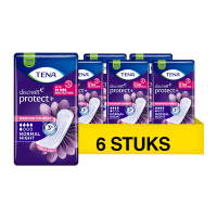 Tena Aanbieding: TENA Discreet Normal Night (6 verpakkingen - 20 stuks)  STE00191