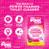 The Pink Stuff | The miracle foaming toilet powder | Toiletreiniger poeder | 3 x 100 gram SPI00023 - 9