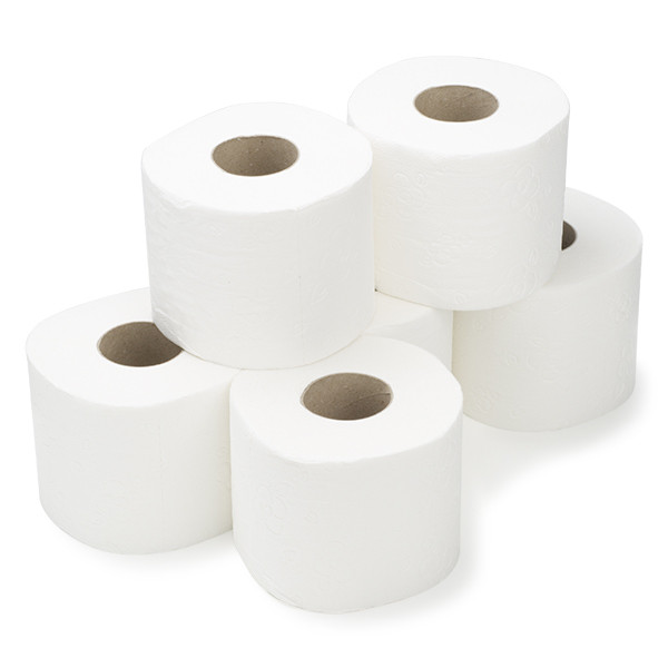Toiletpapier Jumbo 2-laags | 6 rollen | 123schoon huismerk | Geschikt voor Tork T8 dispenser  SDR02008 - 1