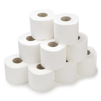 Toiletpapier Mini Jumbo 2-laags | 12 rollen | 123schoon huismerk | Geschikt voor Tork T2 dispenser  SDR02004