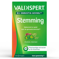 Valdispert Stemming Dragees (40 stuks) SVA00146
