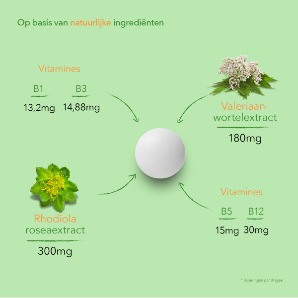 Valdispert Stemming Dragees (40 stuks) SVA00146 - 5