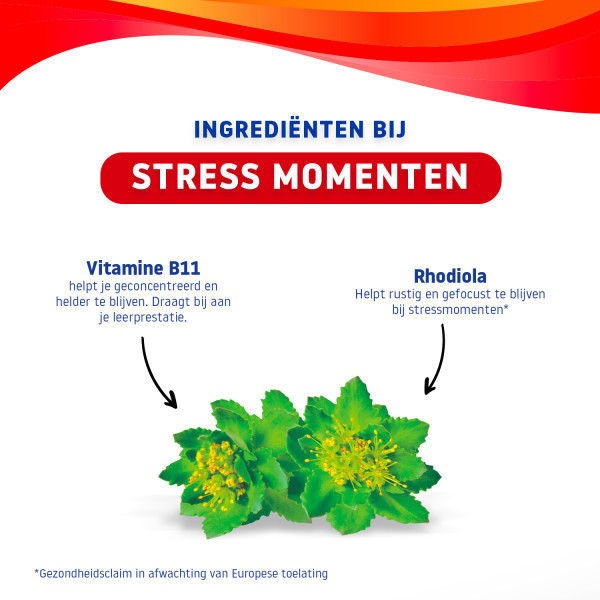 Valdispert Stress Gummies (30 stuks) SVA00148 - 4