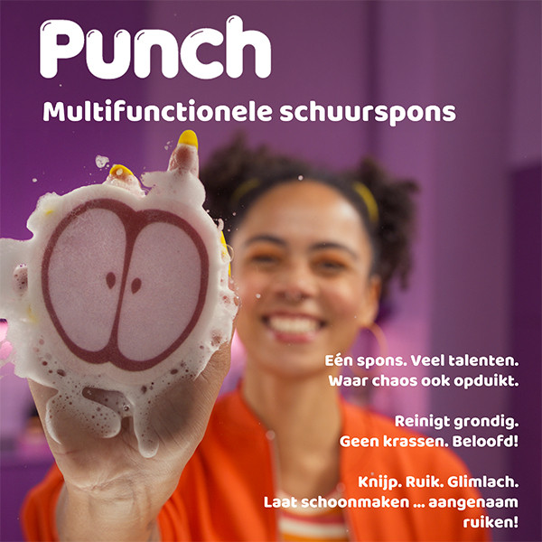 Vileda Schuurspons Punch Apple SVI01403 - 2